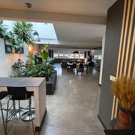 Appartement Loft Carrasketa à Alfafara Extérieur photo