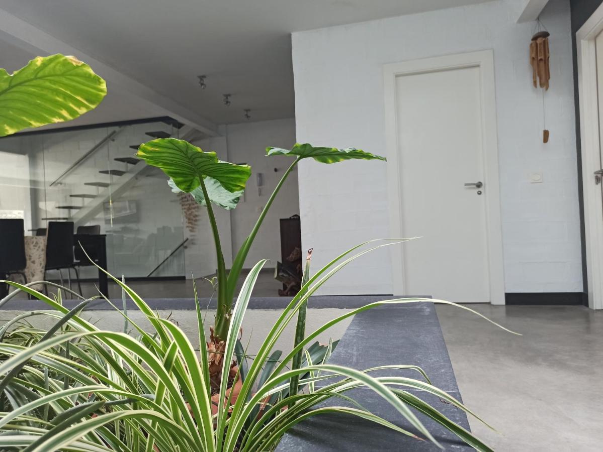 Appartement Loft Carrasketa à Alfafara Extérieur photo